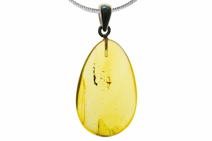 Polished Baltic Amber Pendant (Necklace) - Contains Fly! #339469